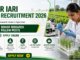 ICAR IARI SRF Recruitment 2026 notification for Senior Research Fellow vacancies apply online