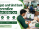 Punjab and Sind Bank Apprentice Result 2026 merit list PDF download with apprentice recruitment details and document verification information